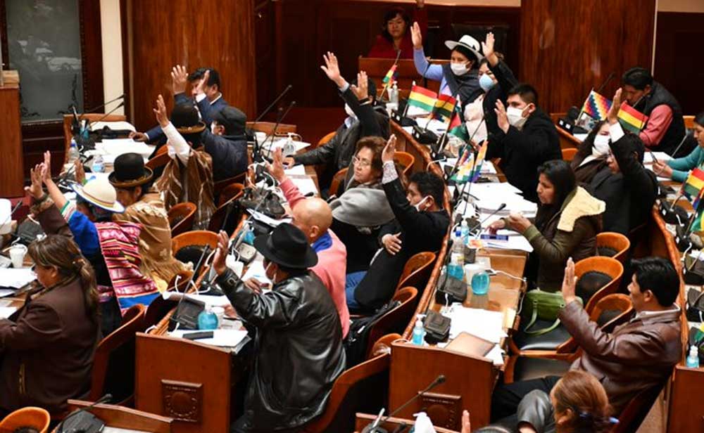 Lee más sobre el artículo Diputados aprueban leyes de cuarentena nacional y de condonación del 50% en servicios básicos y congelar pagos bancarios en Bolivia