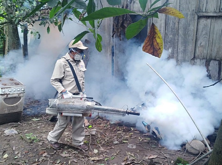 Lee más sobre el artículo Exhortan a seguir con eliminación de criaderos de mosquitos para frenar casos de dengue