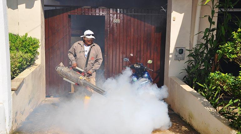 Lee más sobre el artículo Reportan más de 7.800 casos de dengue en tres meses del año