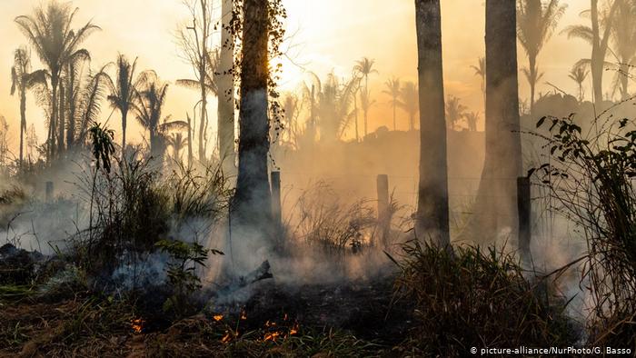 Lee más sobre el artículo Incendio forestal deja ocho muertos en Perú