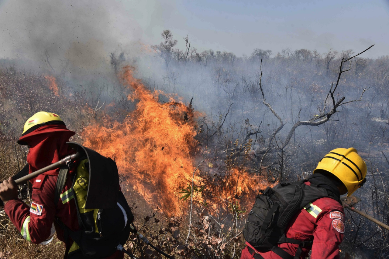 Lee más sobre el artículo Incendios arrasaron con al menos 4.000 hectáreas del parque Noel Kempff, según el Gobierno