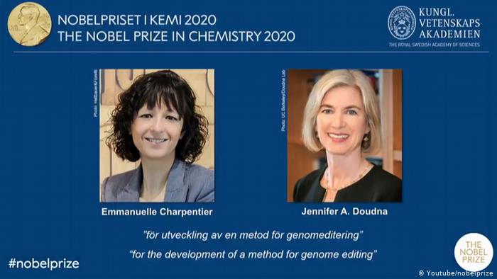 Lee más sobre el artículo Dos mujeres ganan Premio Nobel de Química 2020