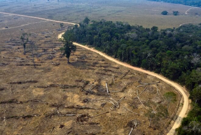 Lee más sobre el artículo Deforestación en la Amazonía brasileña supera los 7.000 km2 hasta septiembre