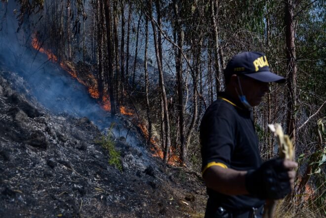 Lee más sobre el artículo Extinguen incendio forestal cercano a zona arqueológica de Cusco en Perú