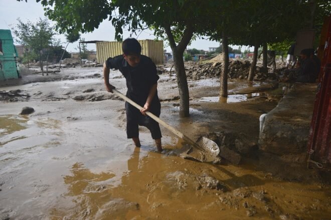 Lee más sobre el artículo El cambio climático, principal responsable de la duplicación de catástrofes naturales en 20 años