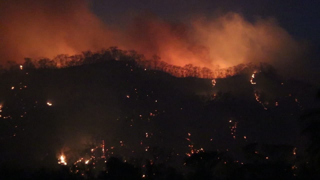 Lee más sobre el artículo Santa Cruz declara desastre departamental debido a los incendios