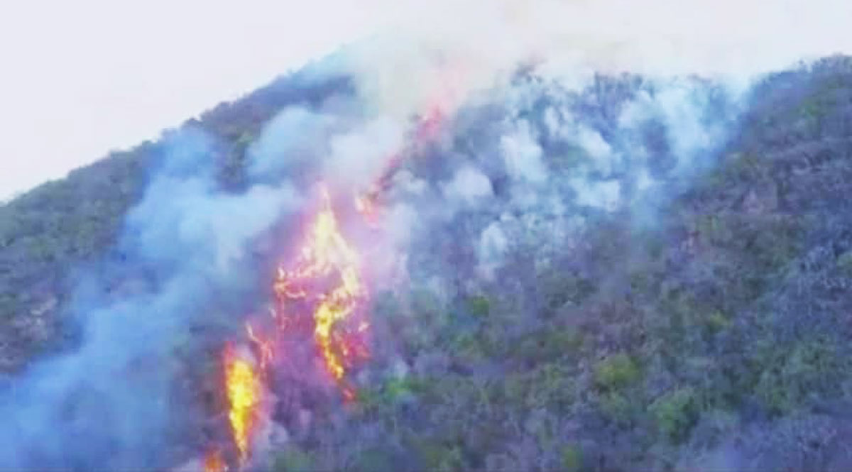 Lee más sobre el artículo Fuego se reinicia en Camiri, Alcalde cree que intervino la mano del hombre