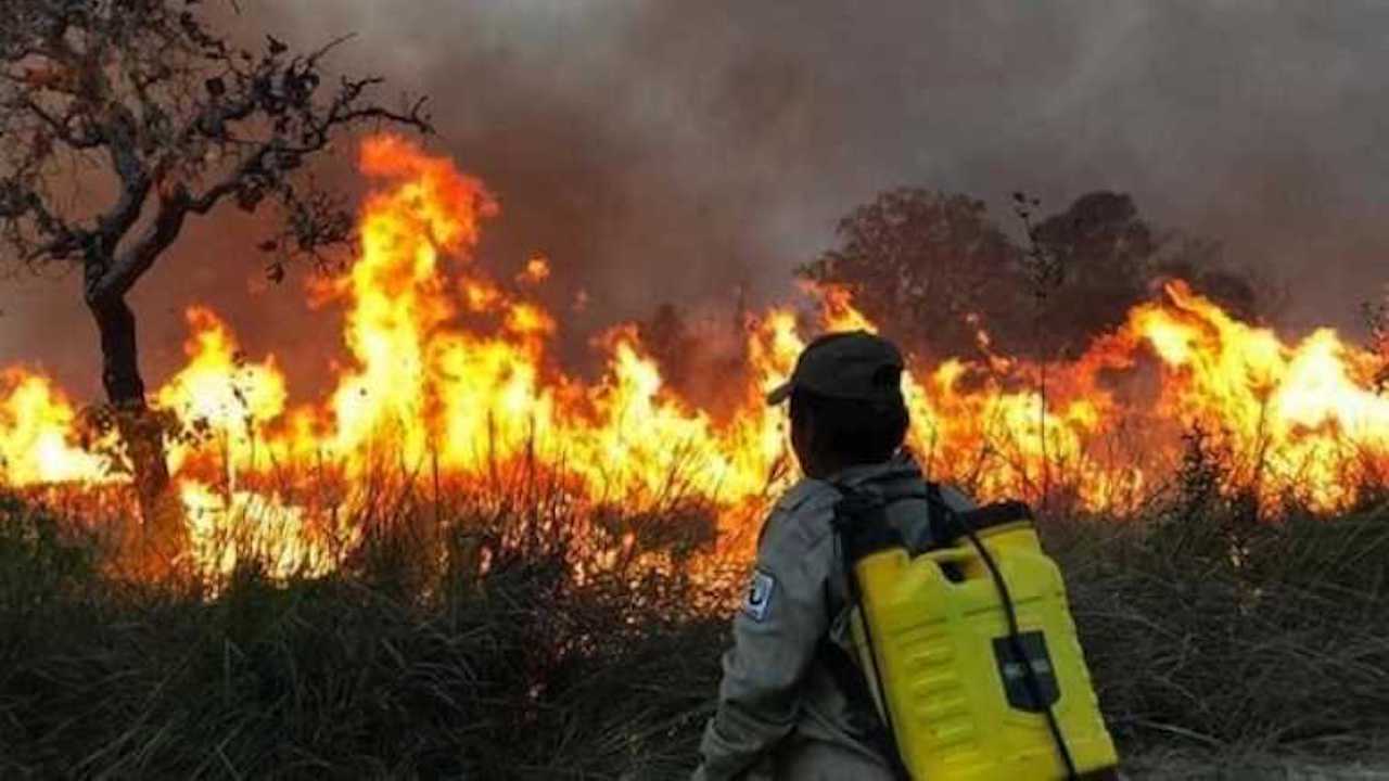 Lee más sobre el artículo Se triplicaron los incendios forestales en la última semana