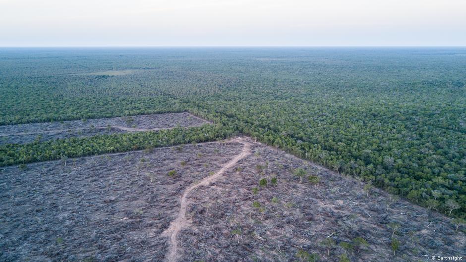 Lee más sobre el artículo Fabricantes de autos: complicidad en la deforestación del Chaco paraguayo