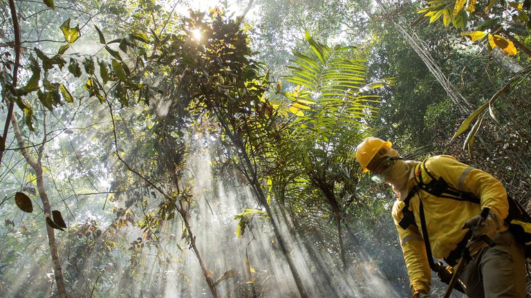 Lee más sobre el artículo Día de la Tierra, una celebración entre la diplomacia ambiental y la pandemia