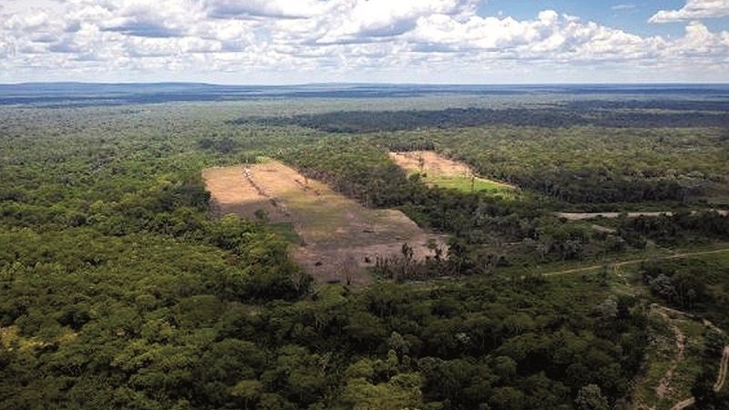 Lee más sobre el artículo Tráfico de tierras involucra la gestión de 4 ministros y deja al menos 100 procesos