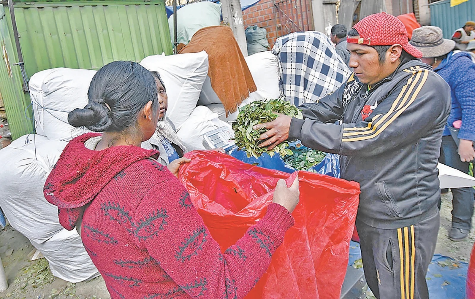 Lee más sobre el artículo Cuatro grandes sectores solo hacen aportes simbólicos y no facturan