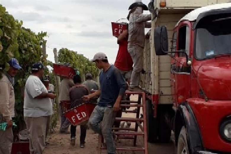 Lee más sobre el artículo Policía argentina en un operativo antidrogas encuentra bolivianos indocumentados, escondidos en una carga de ladrillos