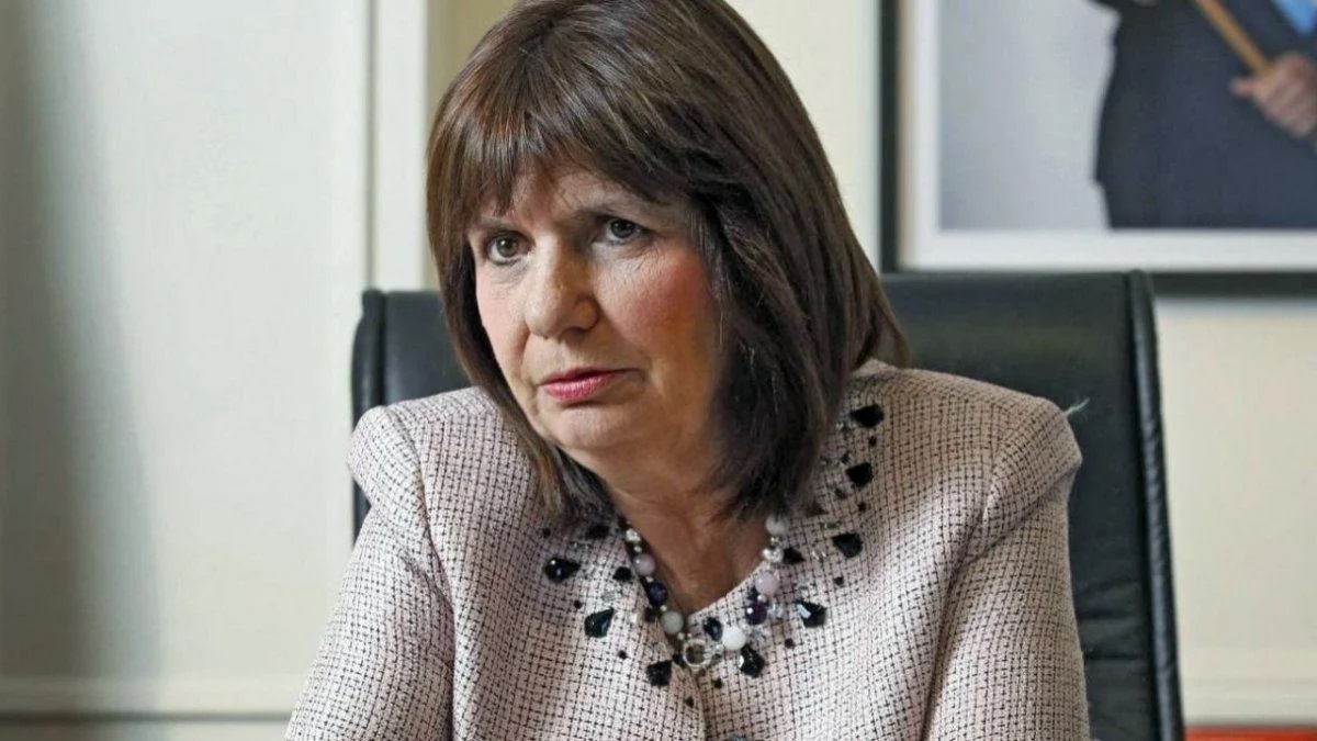 Lee más sobre el artículo Bullrich dice que envío de material ocurrió cuando aún estaban a cargo ministros de Evo