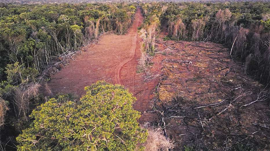 Lee más sobre el artículo El INRA descarta participar en la Comisión Agraria y asegura que no permitirá asentamientos y tráfico de tierras