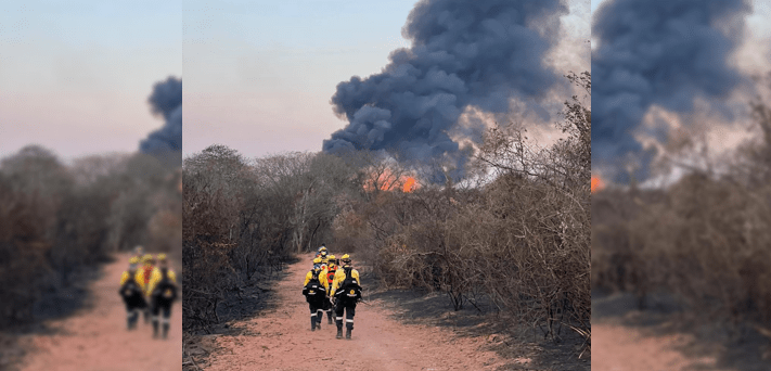 Lee más sobre el artículo Incendios forestales afectan a ocho municipios; ya van 280.000 hectáreas quemadas