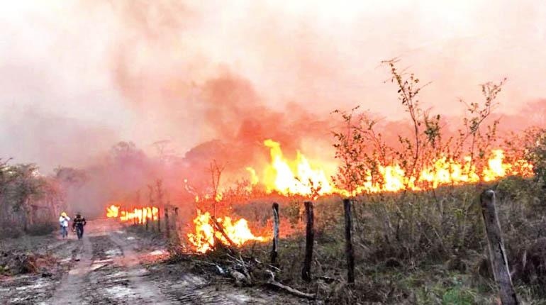 Lee más sobre el artículo El fuego se descontrola en San Matías y obliga a los guardaparques a replegarse