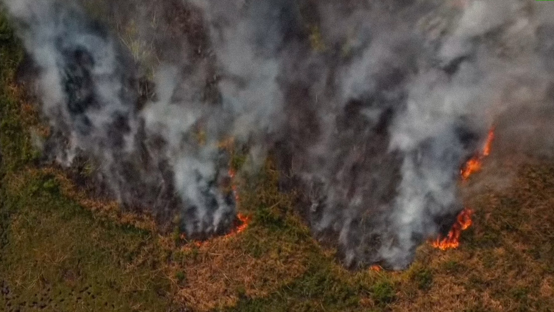 Lee más sobre el artículo Animales quemados, 600.000 hectáreas destruidas y miles de damnificados: las imágenes que muestran el drama de los incendios forestales en Argentina