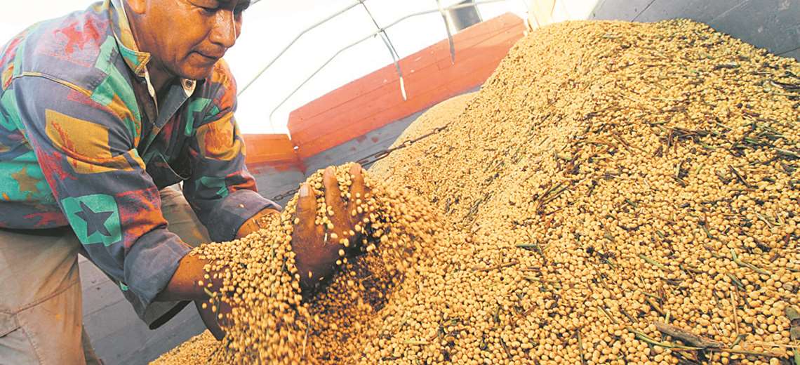 Lee más sobre el artículo Los productores ven el plan estatal de alimentos como ‘candado’ a la libre oferta