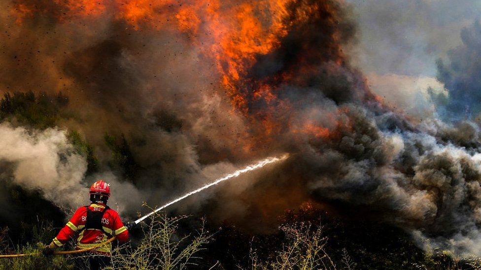 Lee más sobre el artículo Ola de calor en Europa: devastadores incendios forestales se propagan en el Mediterráneo