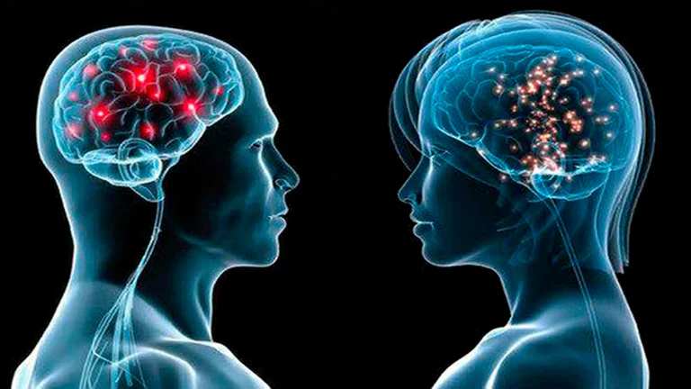 Lee más sobre el artículo Memoria y cerebro: cómo actúa la innovadora terapia láser que en 12 minutos reduce los olvidos