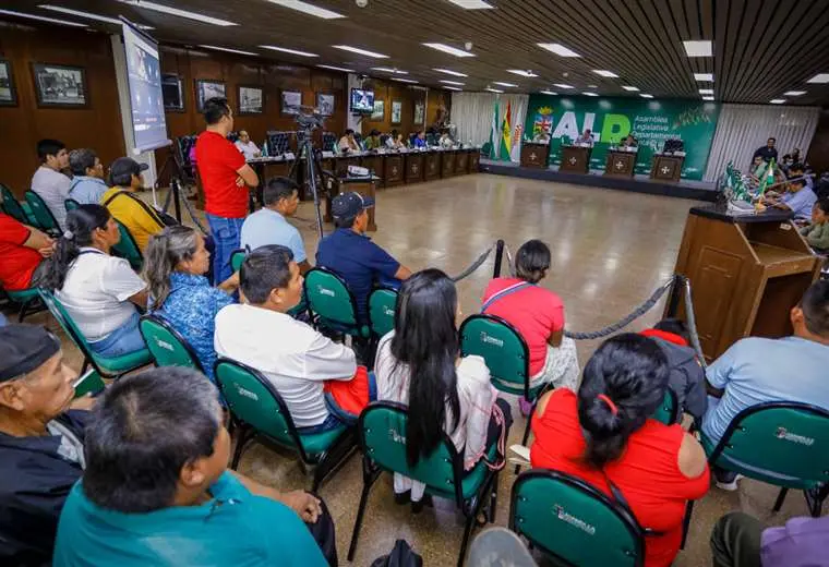 Lee más sobre el artículo Asambleístas indígenas piden destitución de la presidenta del TED y una vocal por su forma de actuar en los procesos revocatorios