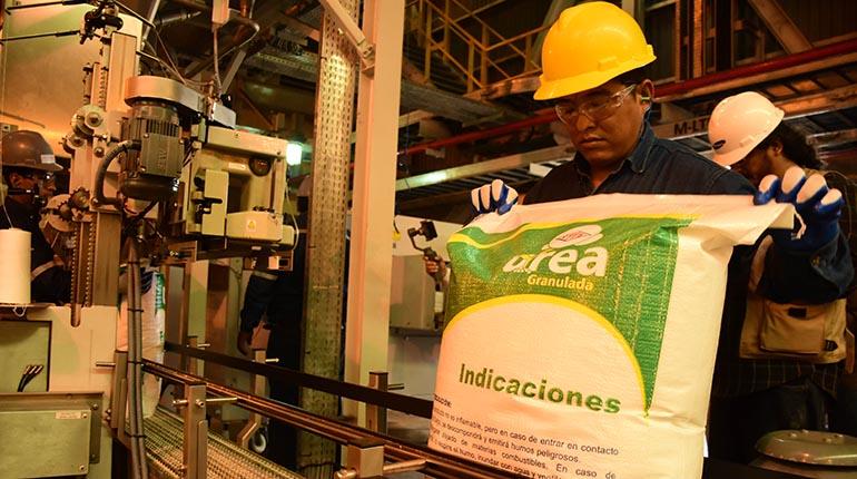 Lee más sobre el artículo La venta de urea en Chuquisaca crece un 209% en cinco meses