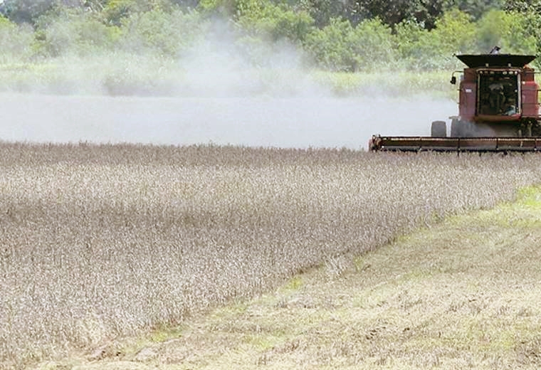 Lee más sobre el artículo Costos agropecuarios suben 10% por falta de dólares e insumos caros