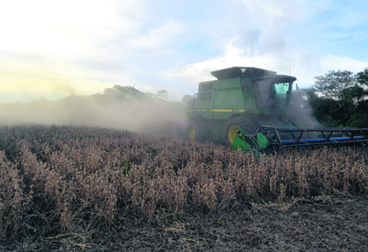 Lee más sobre el artículo Exportaciones, precios de la soya y sus derivados caen un 20 y 42,5%