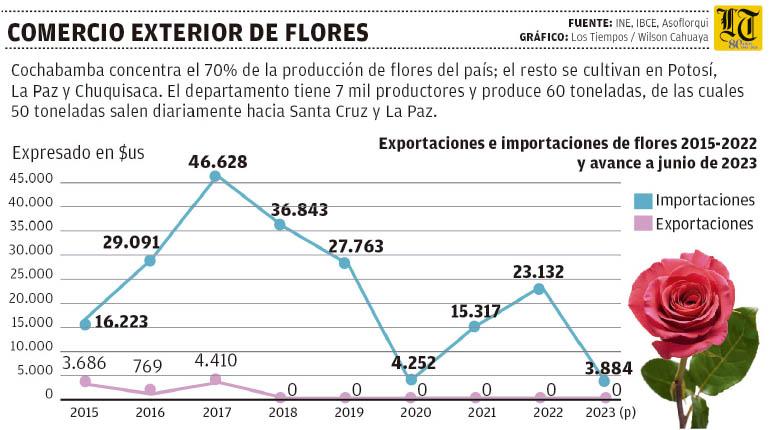 Lee más sobre el artículo La producción de flores creció en 58% después de cuatro años de dificultades