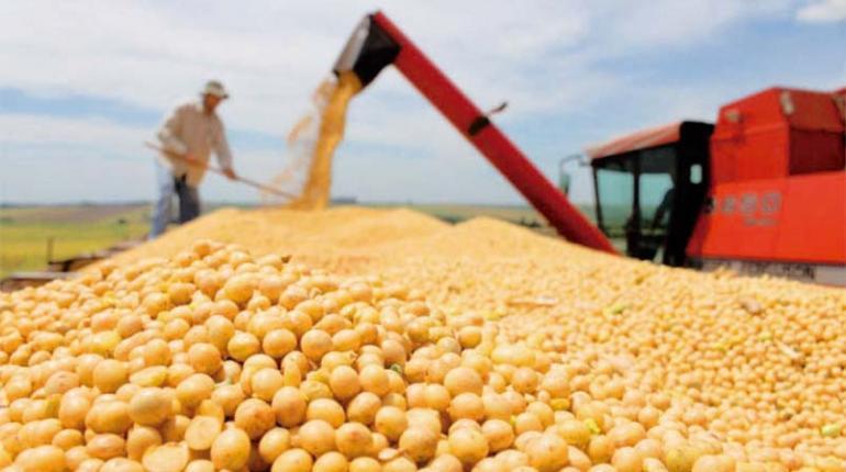 Lee más sobre el artículo Santa Cruz produce el 76% del volumen total de alimentos en Bolivia