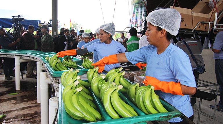 Lee más sobre el artículo Gane Massa o Milei, el comercio exterior con Argentina sufrirá por falta de dólares