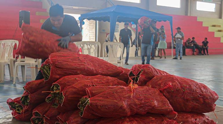 Lee más sobre el artículo Bolivia adquiere nueva variedad de piña de Costa Rica para la producción y exportación